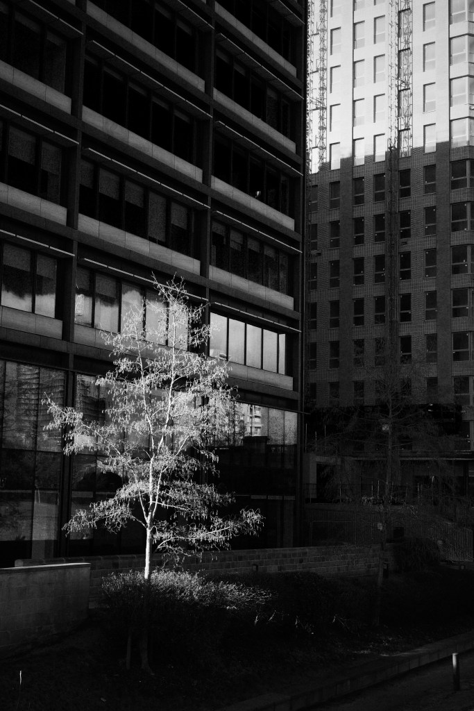 When the sun&nbsp;shines